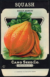 CE169 - Scarce Boston Marrow Squash Card Seed Packet
