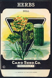 #CE091 - Dill Herb Card Seed Packet