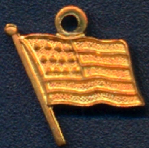 #BEADSC0290 - Group of 10 Copper American Flag Charms