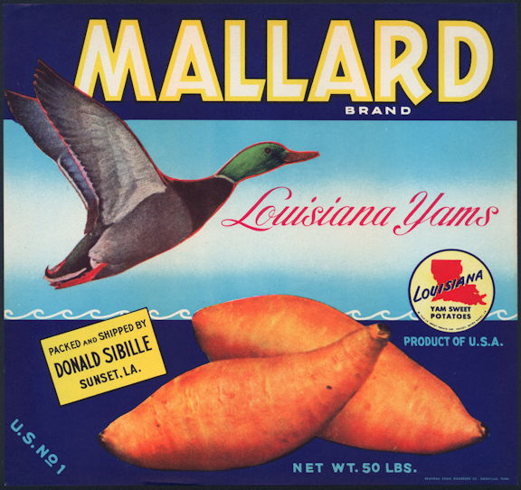 Scarce Mallard Louisiana Yams Crate Label Mallard Duck