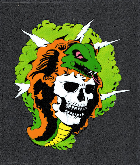 Grateful Dead Car Window Tour Sticker/Decal - Skull with Snake and ...